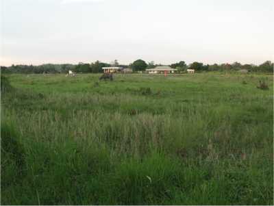 Calbayog - Calbayog Calbayog - Calbayog