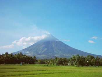 Mayon